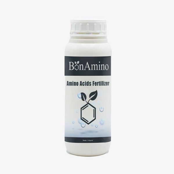 اسیدآمینه بُن آمینو